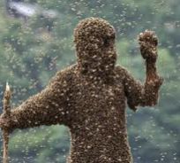 Wang il signore delle api - foto presa da Repubblica.it