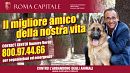 Il manifesto della campagna del Comune di Roma, testimonial Carlo Conti