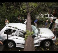 Conseguenze del tornado del 17 settembre 2010 a NY - foto presa da www.huffingtonpost.com