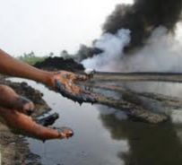 Il petrolio sta distruggendo il delta del fiume Niger