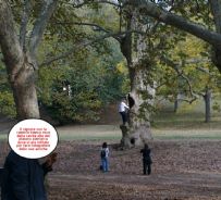 Gli antichi platani di Villa Borghese alla merce' di chiunque: il Comune non riesce ad apporre un semplice cartello illustrativo - copyright IlRespiro.eu