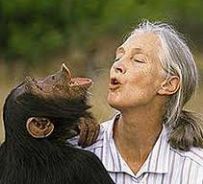 Jane Goodall