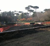 copyright Annalisa Novelli
