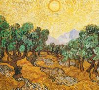 Ulivi - Van Gogh