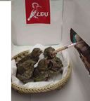 foto Lipu - http://www.lipu.it/sezione/roma/