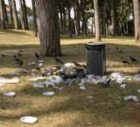 copyright IlRespiro.eu