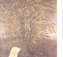 Bartolomeo Bimbi