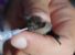 MANUALE DI CONVIVENZA - Piccoli pipistrelli crescono...