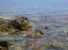 IL PAESAGGIO E' UNO STATO D'ANIMO - Lo Zen del ciottolo di mare