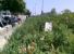 viale Famagosta prima dell'intervento: 27 giugno 2011