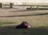 Quando si dorme al parco