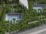 Le querce di Ground Zero e i pali telegrafici che tornarono alberi