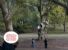 Turista sul patriarca di Villa Borghese: a casa sua lo farebbe?