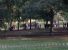 Manifestazione per scolaresche a Villa Borghese e relativo allestimento - copyright IlRespiro.eu