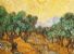 Ulivi - Van Gogh