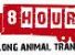 8hours varca il milione di firme contro il trasporto di animali vivi sulla lunga distanza