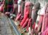 lingam