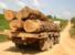 Il Brasile cede l'Amazzonia alle compagnie del legno