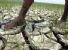 Allarme siccità in Amazzonia
