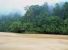 Le foreste malesi galleggiano sul Rajang