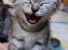 Ridere e sorridere