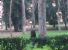 Ma non ci si vergogna a usare un parco come latrina in pieno giorno?