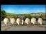 Shaun la pecora e la flock dance