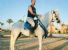 Cavalli in Egitto