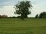 Alberi per Villa De Santis