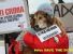 Sta per passare la legge per lo sterminio di 2 milioni di cani in Romania