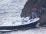 Cinghiale ucciso in mare: il PAE denuncia i responsabili e si costituisce parte civile