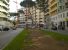 "Potatura" pini in Corso Trieste