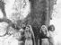 Abbracciare gli alberi: il movimento Chipko