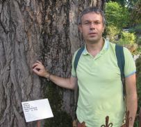 Antimo Palumbo e' storico degli alberi e presidente dell'Associazione ADEA Amici degli alberi