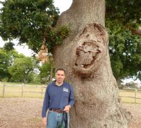 Francesco Ferrini e' professore di Arboricoltura Urbana e di Parchi e Giardini, Dipartimento Scienze delle Produzioni Vegetali, Suolo e Ambiente Forestale dell'Universita' di Firenze, ed e' presidente della SIA - Societa' Italiana di Arboricoltura