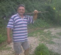 Paolo Borelli e' fioraio e giardiniere a Roma dal 1980; il suo chiosco in via Boncompagni fu aperto dai suoi nonni nell'immediato Dopoguerra
