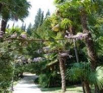 L'arboreto di Arco in Trentino