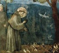 San Francesco predica agli uccelli - Giotto, Duomo d'Assisi