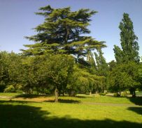 copyright IlRespiro.eu