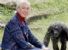 JANE GOODALL E IL VALORE DELLA VITA (IN 