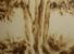 ARBOR acf 149-IV_2010_acqua e fuoco_50x70