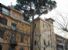 Il pino di via Pompeo Magno è già vincolato: rientra nella Carta della Qualità che lo tutela