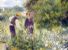 IL PAESAGGIO E' UNO STATO D'ANIMO - Con le piante usare il galateo