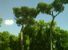 IL PAESAGGIO E' UNO STATO D'ANIMO - Perché abbiamo bisogno del giardino