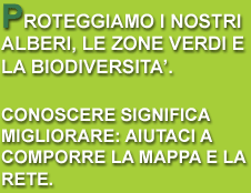 Proteggiamo i nostri alberi