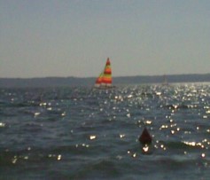 I nostri bellissimi laghi: niente yacht e cafoni, e molta natura