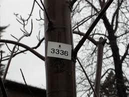 Posta per Luciana Marinangeli