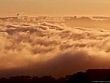 Un anno di nuvole nel cielo di San Francisco