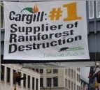 Olio di palma: ora tocca a Cargill