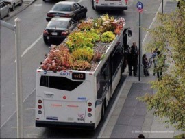 Gli autobus a New York si ricoprono di verde